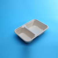 100% Biodegradable Sugarcane Bagasse Tablewares Paper Disposable Food Trays