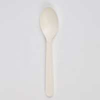 GreenPacking Eco Friendly Ice Cream Spoon Compostable Cornstarch Cutlery