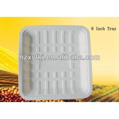 biodegradable food trays--9 inch tray