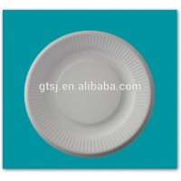 biodegradable disposable round dish