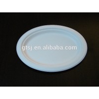 biodegradable disposable round plate