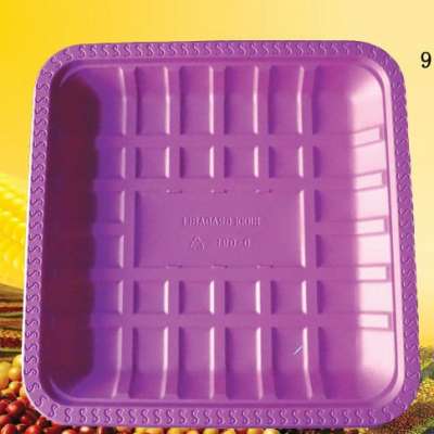 Eco-friendly Disposable Biodegradable  Tray