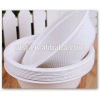 biodegradable disposable bowl