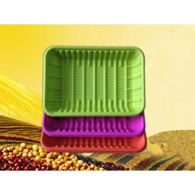 biodegradable disposable food tray