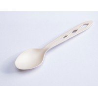 Compostable PLA Spoon