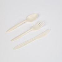 Biodegradable Wholesale Disposable Dinnerware 7 Inch Corn Starch Fork